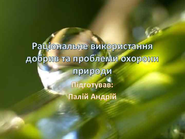 Раціональне використання добрив та проблеми охорони природи Підготував: Палій Андрій 