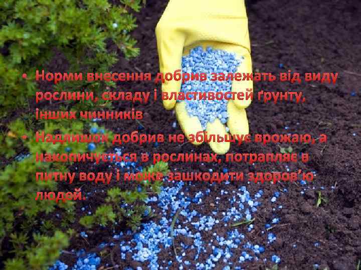  • Норми внесення добрив залежать від виду рослини, складу і властивостей ґрунту, інших