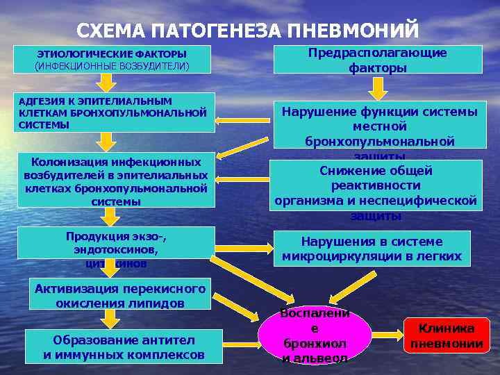 Острое воспаление патогенез