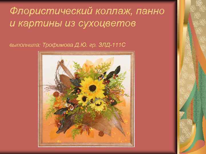 Флористический коллаж, панно и картины из сухоцветов выполнила: Трофимова Д. Ю. гр. ЗЛД-111 С