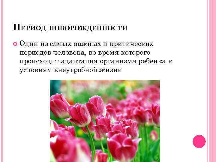 ПЕРИОД НОВОРОЖДЕННОСТИ Один из самых важных и критических периодов человека, во время которого происходит