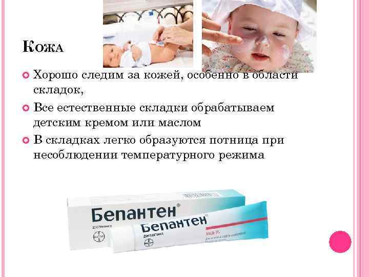 КОЖА Хорошо следим за кожей, особенно в области складок, Все естественные складки обрабатываем детским