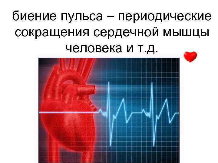 биение пульса – периодические сокращения сердечной мышцы человека и т. д. 