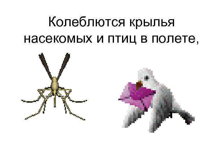 Колеблются крылья насекомых и птиц в полете, 