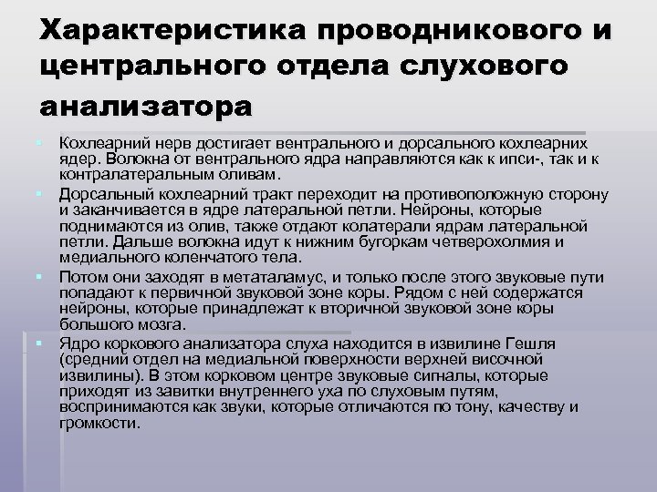 Характеристика проводникового и центрального отдела слухового анализатора § Кохлеарний нерв достигает вентрального и дорсального