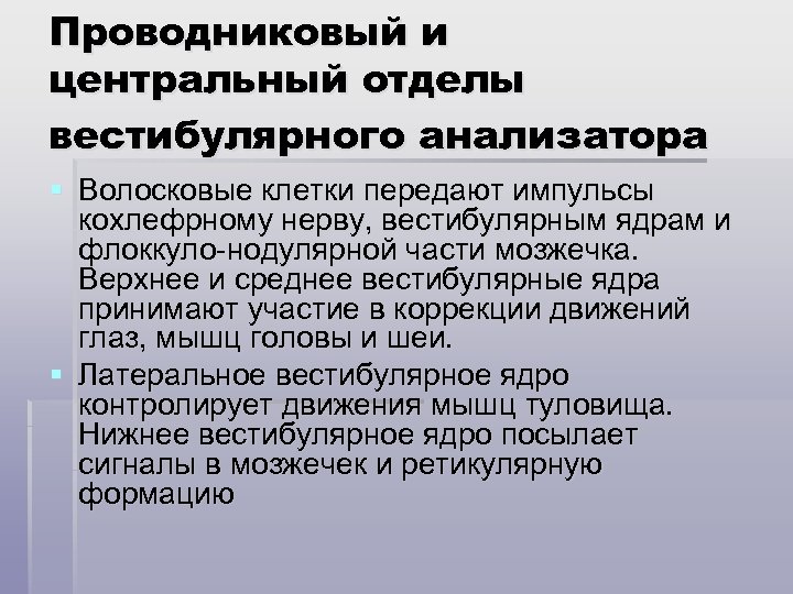 Проводниковый и центральный отделы вестибулярного анализатора § Волосковые клетки передают импульсы кохлефрному нерву, вестибулярным