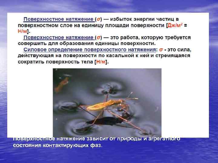 Поверхностное натяжение зависит от природы и агрегатного состояния контактирующих фаз. 