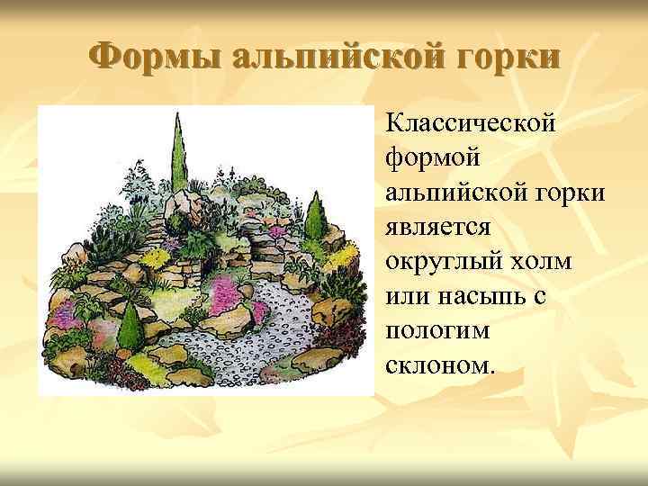 Формы альпийской горки n Классической формой альпийской горки является округлый холм или насыпь с