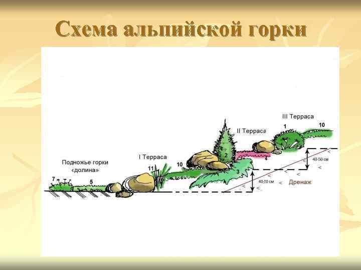 Технологическая карта альпийской горки