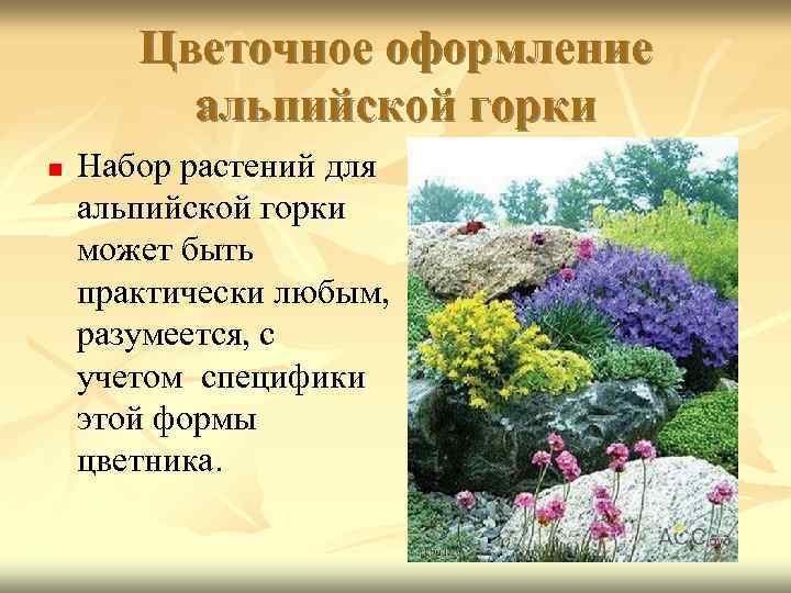Цветочное оформление альпийской горки n Набор растений для альпийской горки может быть практически любым,