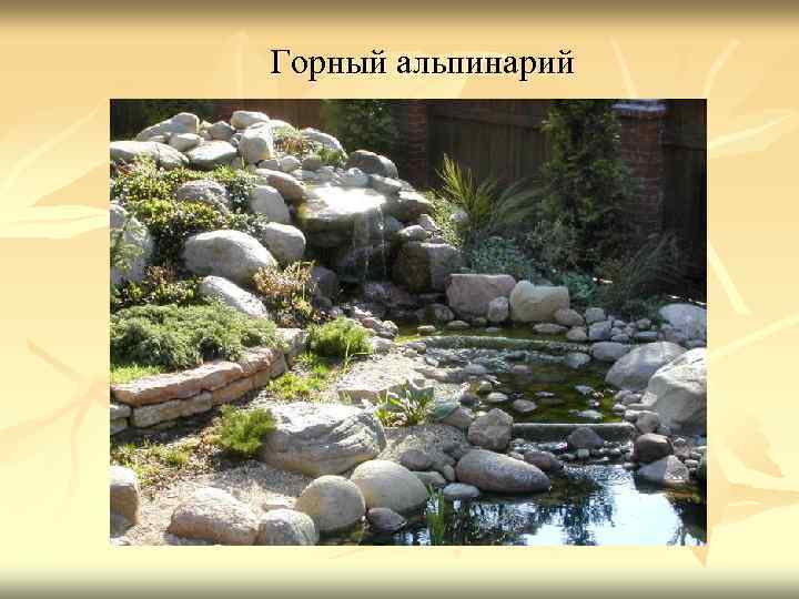  Горный альпинарий 