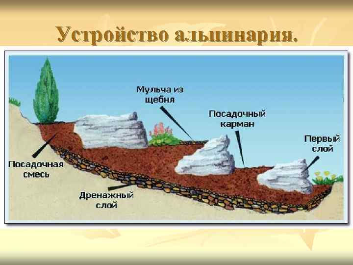 Устройство альпинария. 