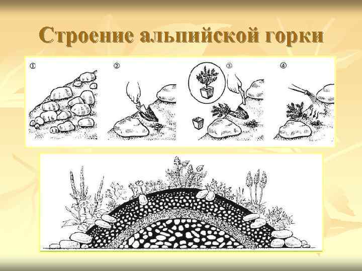 Строение альпийской горки 
