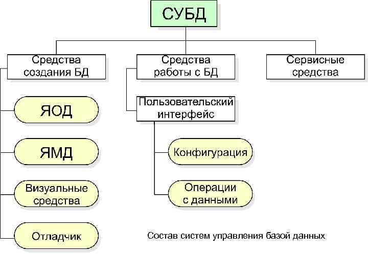 Состав систем управления базой данных 
