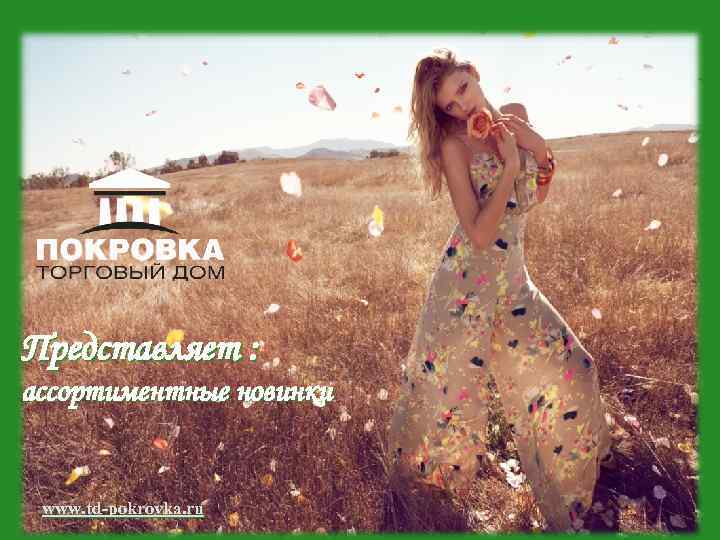 Представляет : ассортиментные новинки www. td-pokrovka. ru 