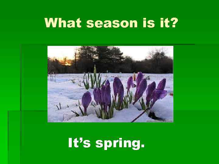 What season is it? It’s spring. 