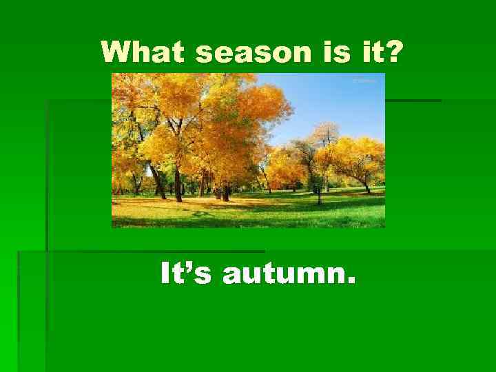 What season is it? It’s autumn. 