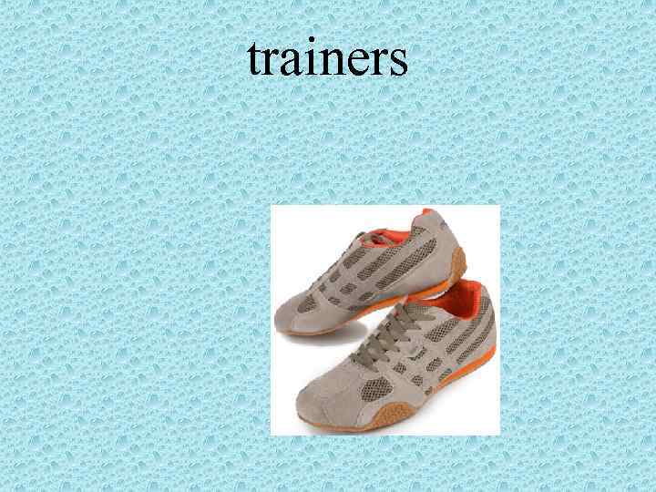 trainers 