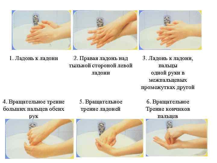 1. Ладонь к ладони 2. Правая ладонь над тыльной стороной левой ладони 3. Ладонь