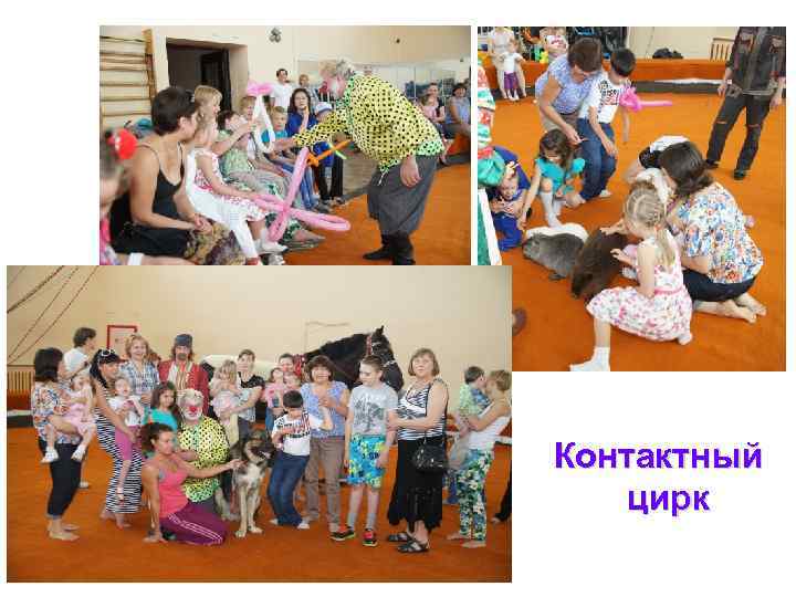 Контактный цирк 