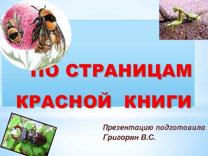 * ПО СТРАНИЦАМ КРАСНОЙ КНИГИ Презентацию подготовила Григорян В. С. 