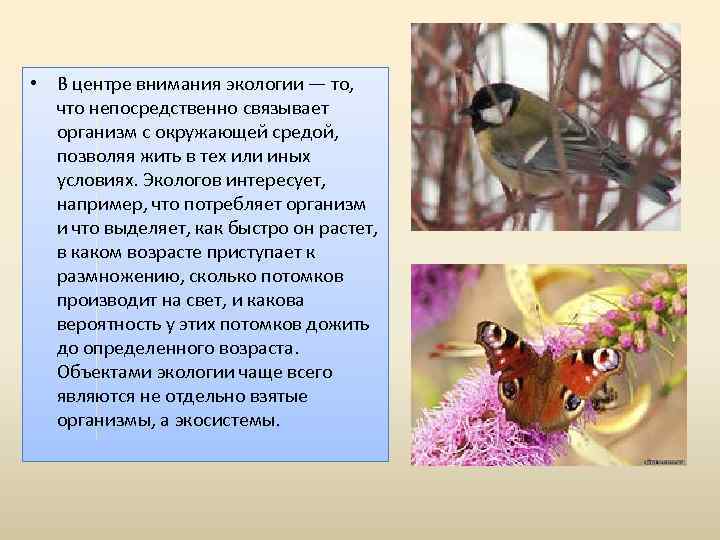  • В центре внимания экологии — то, что непосредственно связывает организм с окружающей
