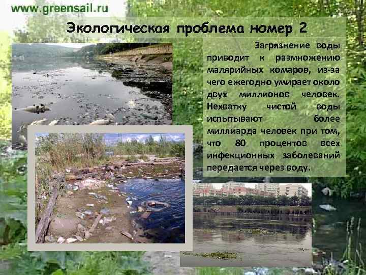Экологическая проблема номер 2 Загрязнение воды приводит к размножению малярийных комаров, из-за чего ежегодно
