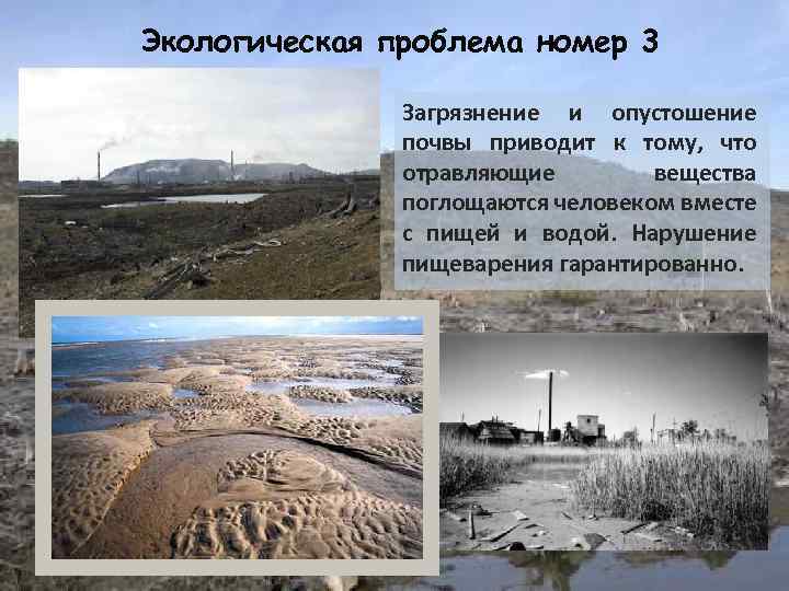 Экологическая проблема номер 3 Загрязнение и опустошение почвы приводит к тому, что отравляющие вещества