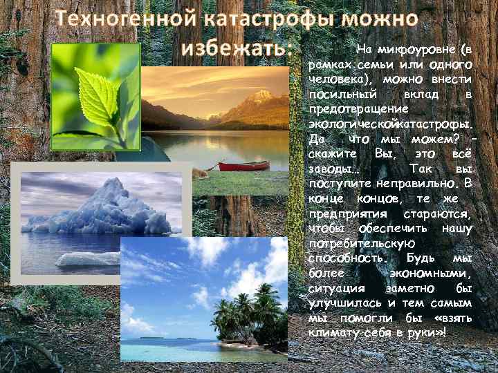 Техногенной катастрофы можно На микроуровне (в избежать: рамках семьи или одного человека), можно внести