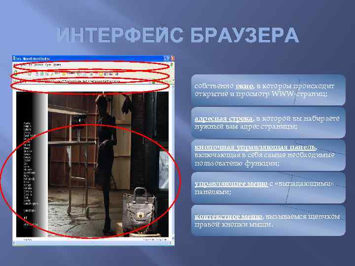 ИНТЕРФЕЙС БРАУЗЕРА собственно окно, в котором происходит открытие и просмотр WWW-страниц; адресная строка, в