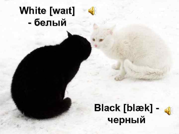 White [waιt] - белый Black [blæk] черный 