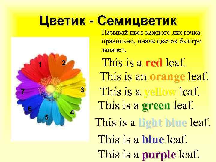 Цветик - Семицветик Называй цвет каждого листочка правильно, иначе цветок быстро завянет. 2 1