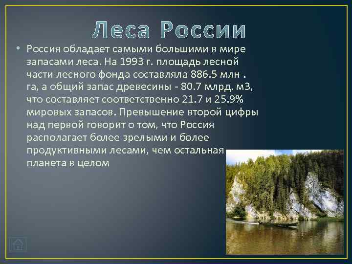  • Россия обладает самыми большими в мире запасами леса. На 1993 г. площадь