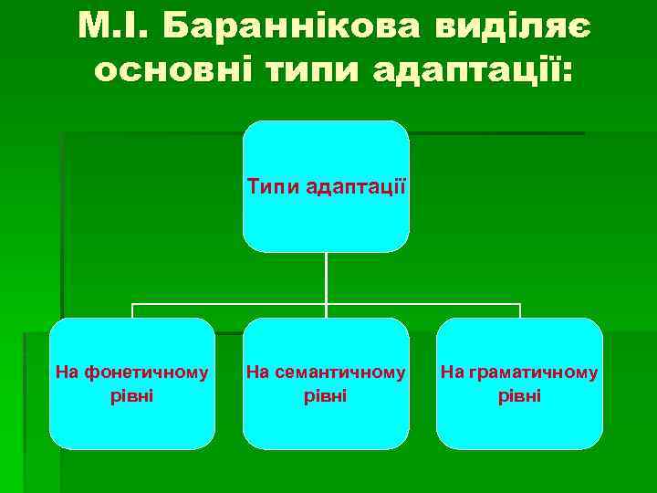 М. І. Бараннікова виділяє основні типи адаптації: Типи адаптації На фонетичному рівні На семантичному