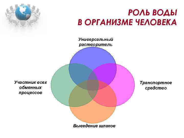 Дополните схему функции воды в организме человека