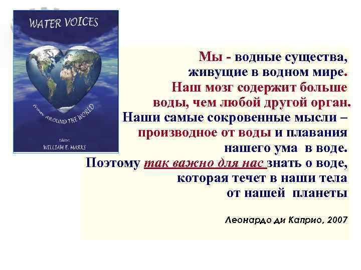 Мы - водные существа, живущие в водном мире. Наш мозг содержит больше воды, чем