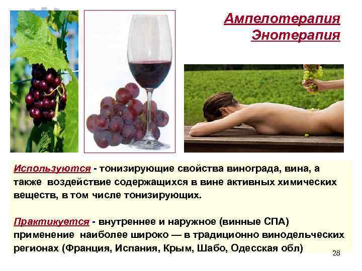 Ампелотерапия Энотерапия Используются - тонизирующие свойства винограда, вина, а также воздействие содержащихся в вине