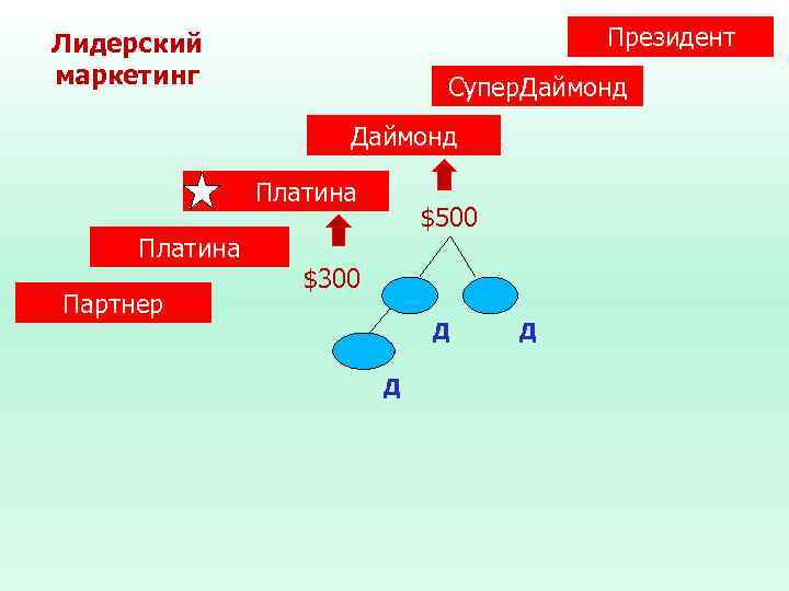 Президент Лидерский маркетинг Супер. Даймонд Платина Партнер $500 $300 Д Д Д 