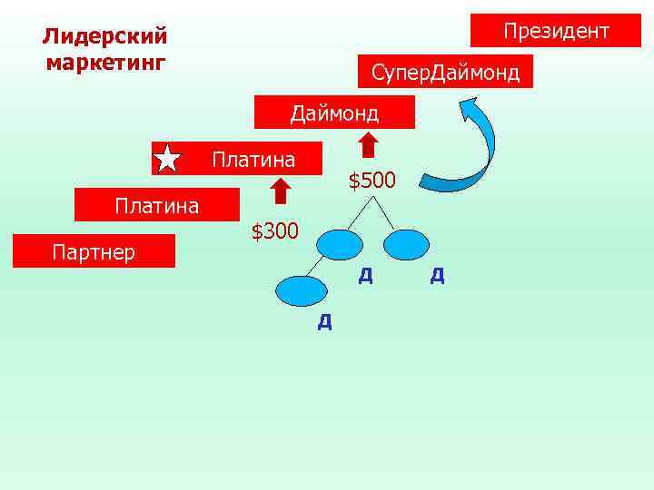 Президент Лидерский маркетинг Супер. Даймонд Платина Партнер $500 $300 Д Д Д 