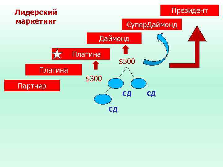 Президент Лидерский маркетинг Супер. Даймонд Платина Партнер $500 $300 СД СД СД 