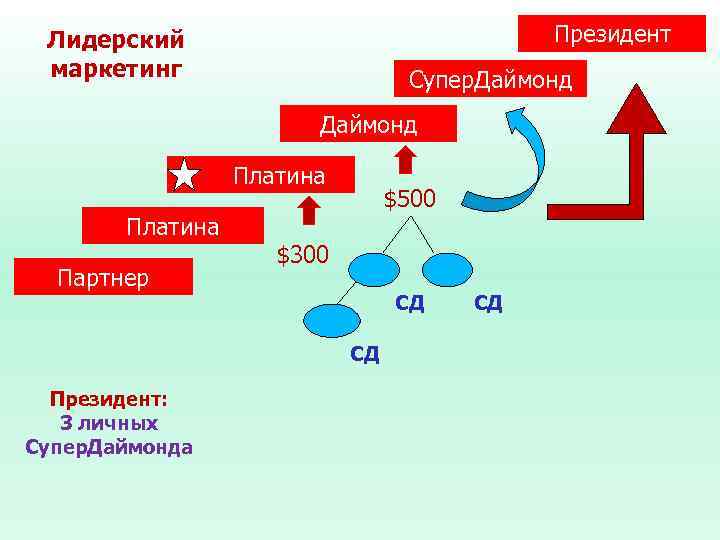 Президент Лидерский маркетинг Супер. Даймонд Платина Партнер $500 $300 СД СД Президент: 3 личных