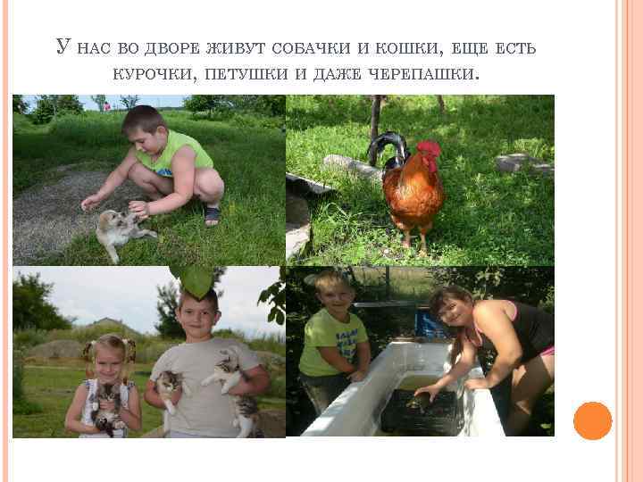 У НАС ВО ДВОРЕ ЖИВУТ СОБАЧКИ И КОШКИ, ЕЩЕ ЕСТЬ КУРОЧКИ, ПЕТУШКИ И ДАЖЕ