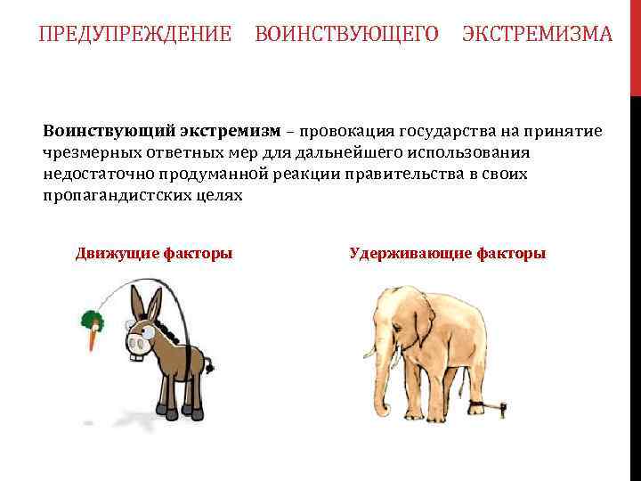 ПРЕДУПРЕЖДЕНИЕ ВОИНСТВУЮЩЕГО ЭКСТРЕМИЗМА Воинствующий экстремизм – провокация государства на принятие чрезмерных ответных мер для
