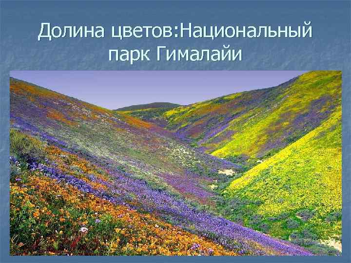 Долина цветов: Национальный парк Гималайи 