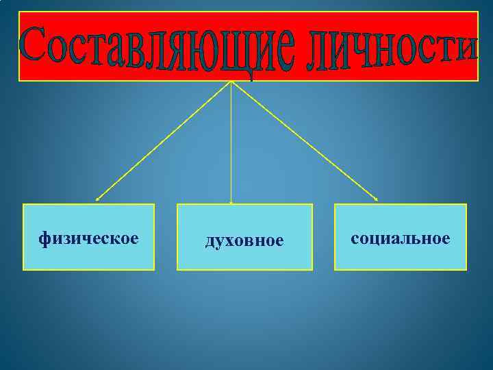 физическое духовное социальное 