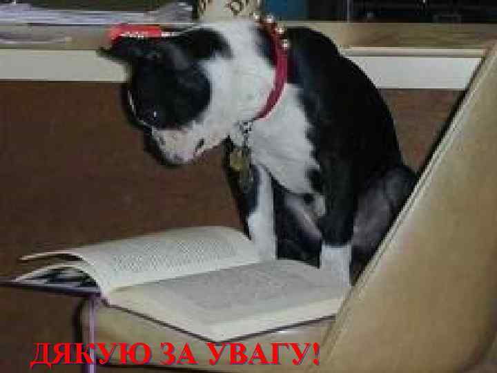 ДЯКУЮ ЗА УВАГУ! 