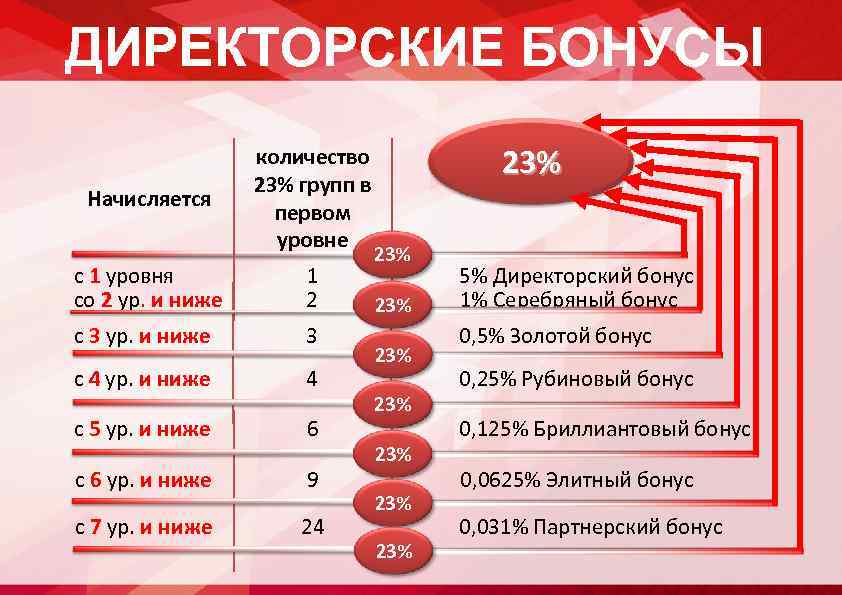 ДИРЕКТОРСКИЕ БОНУСЫ Начисляется количество 23% групп в первом уровне с 1 уровня со 2