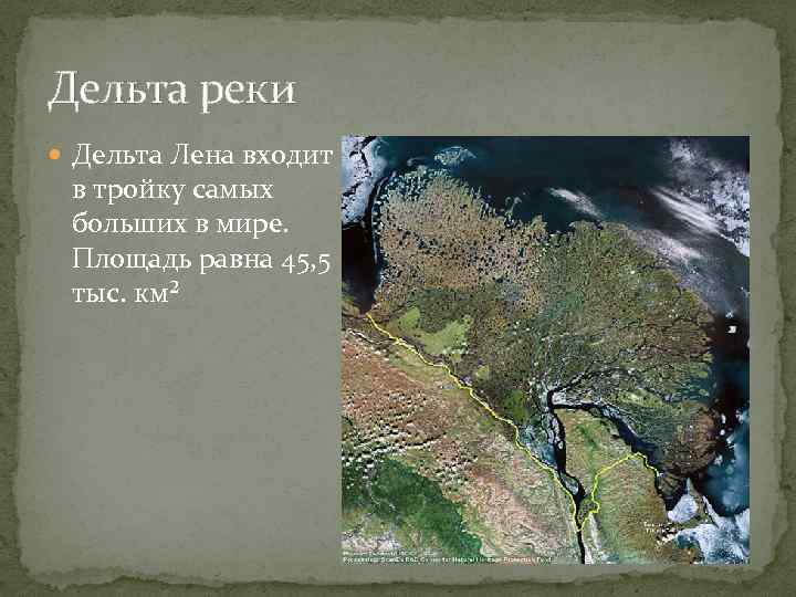 Дельта реки Дельта Лена входит в тройку самых больших в мире. Площадь равна 45,