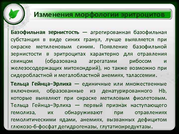 Изменения морфологии эритроцитов Базофильная зернистость — агрегированная базофильная • Click to edit Master text