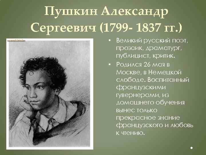 Пушкин образование. Александр Сергеевич Пушкин образование. Александр Сергеевич Пушкин достижения. Образование Александра Пушкина.